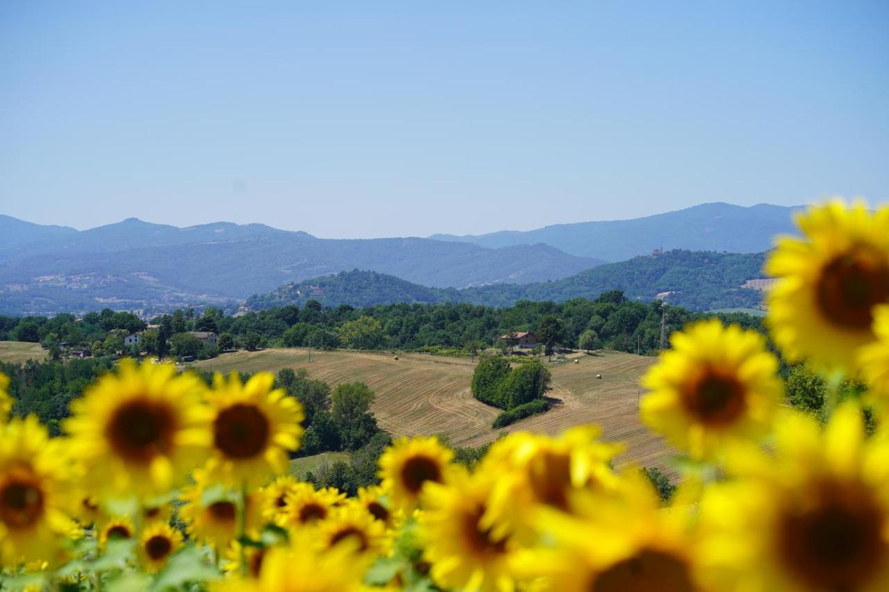 Agriturismo Il Sarale - Umbria Città di Castello Extérieur photo